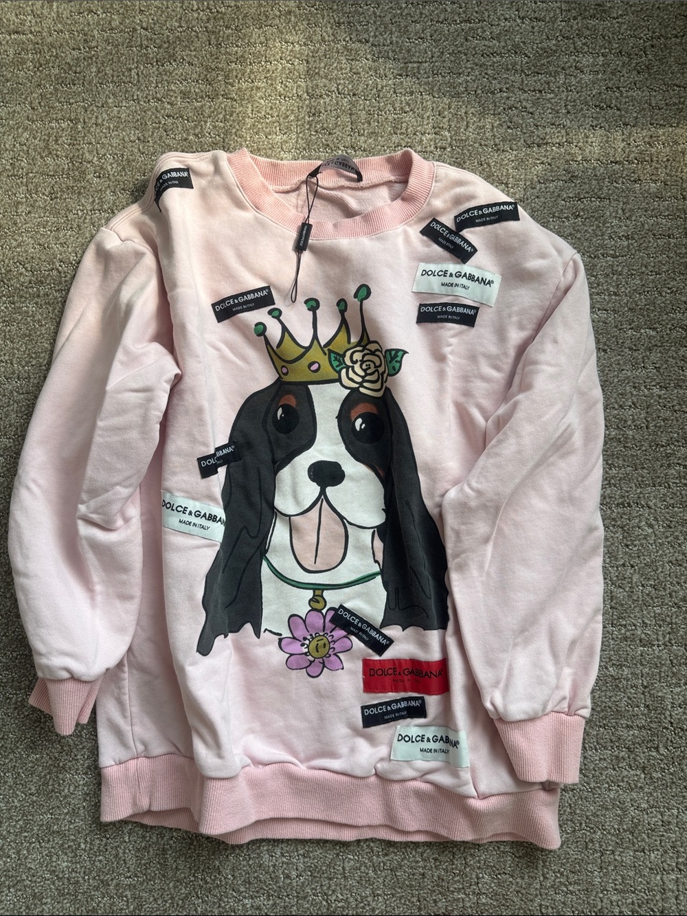 Dolce & Gabbana Light Pink Crowned Dog Sweatshirt